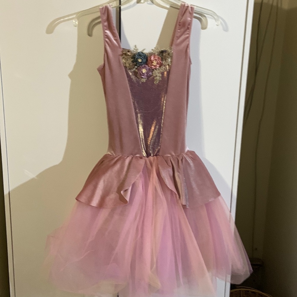 Ballet dance costume. Tiered tutu skirt. Velvet accents. Adult small